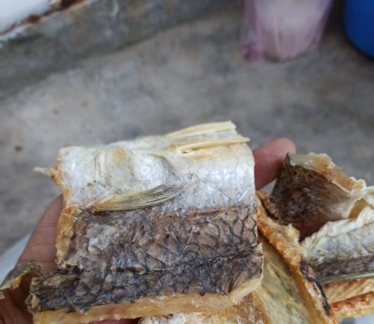 ca moi kho gia bao nhieu