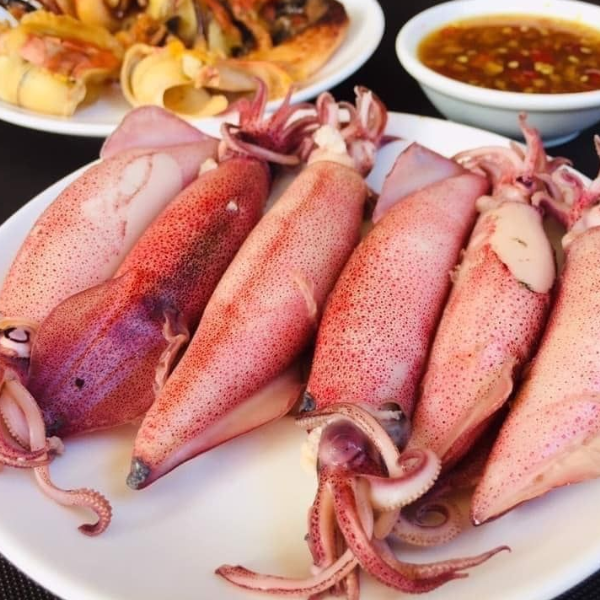 mực trứng hấp giá sỉ