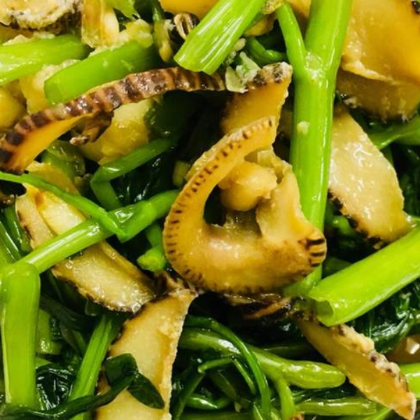 Ốc giác vàng giá sỉ